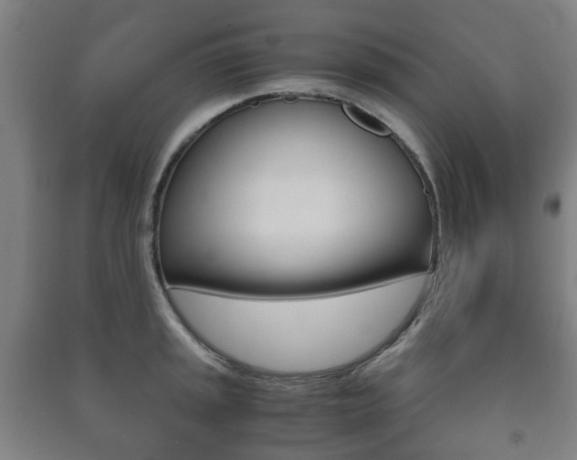 X0000091451045200708161043