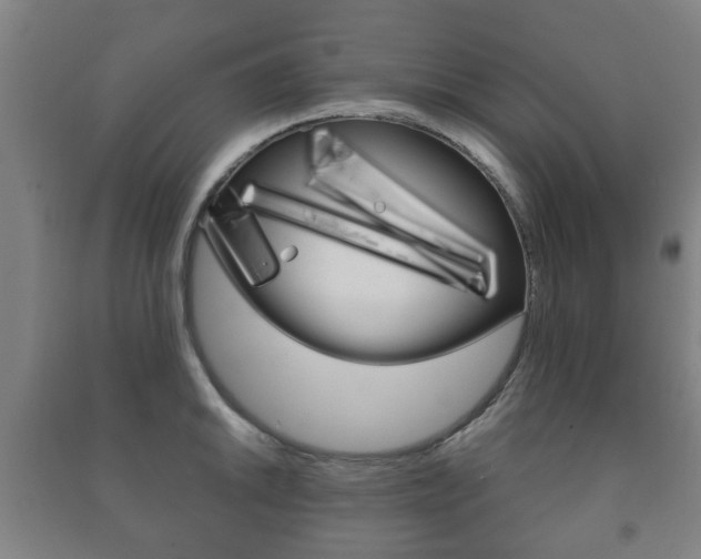 X0000091451046200708161043