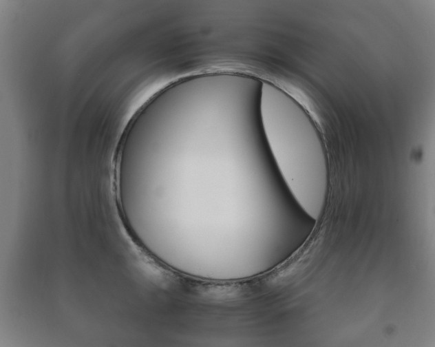 X0000091451047200708161043