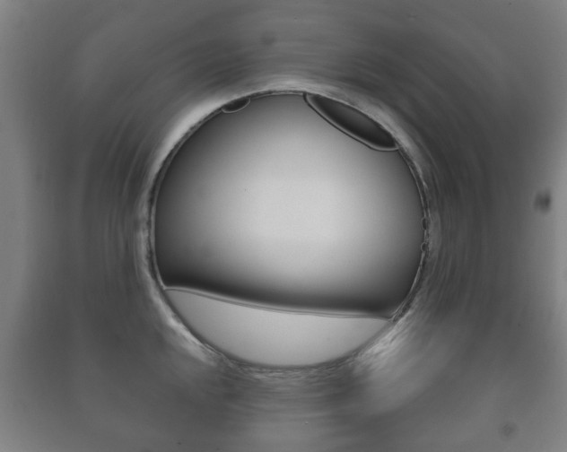 X0000091451048200708161043