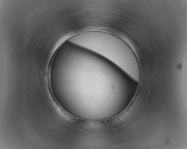 X0000091451050200708161043