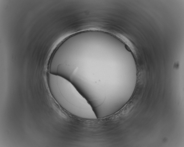 X0000091451051200708161043