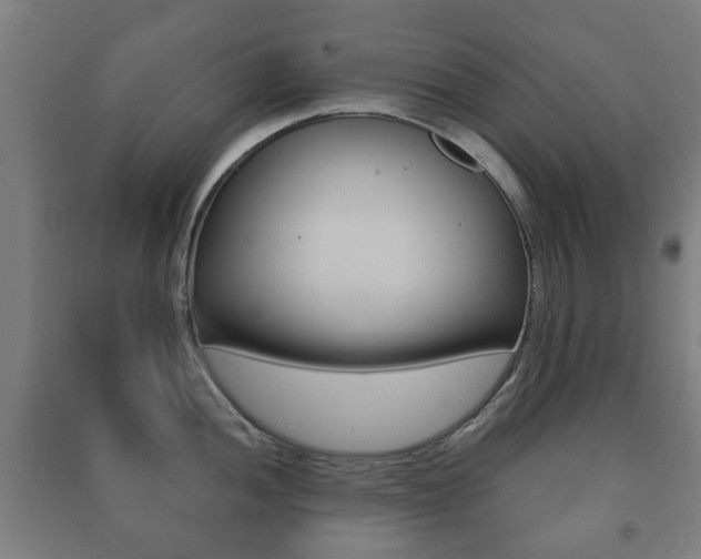 X0000091451052200708161043