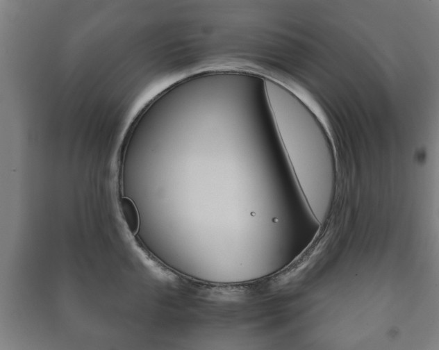 X0000091451053200708161043