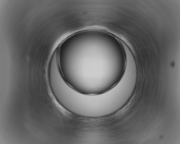X0000091451054200708161043