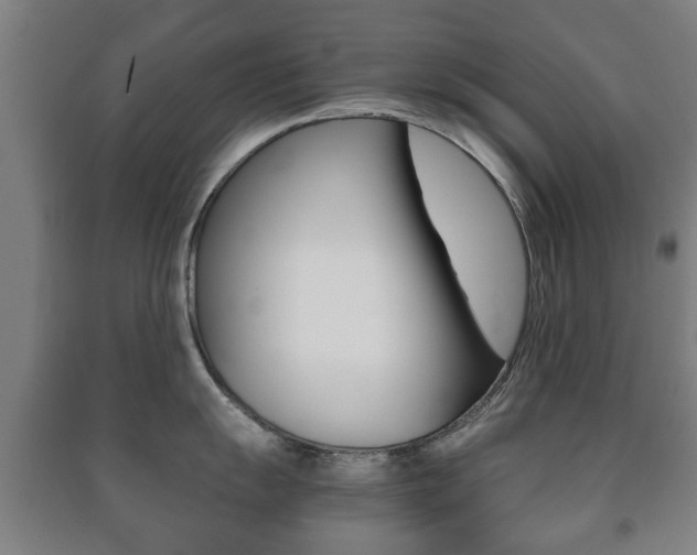 X0000091451055200708161043