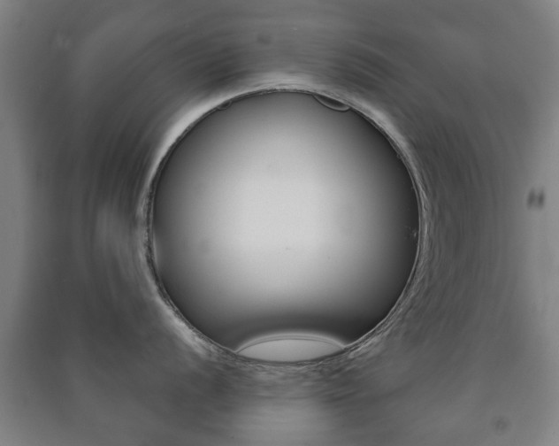 X0000091451056200708161043