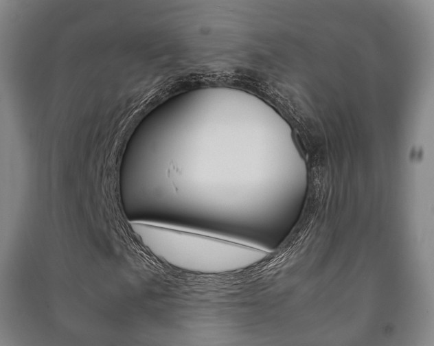 X0000091451057200708161043