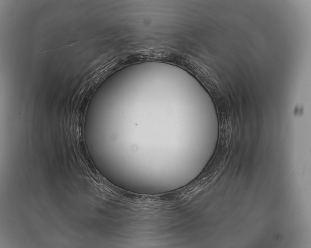 X0000091451058200708161043