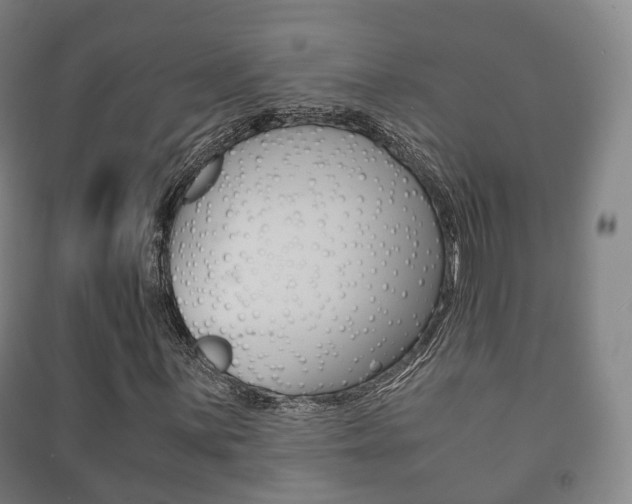 X0000091451059200708161043