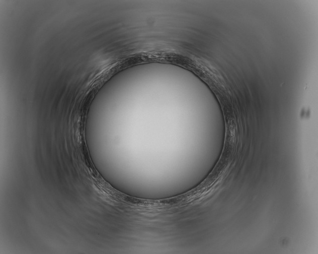X0000091451060200708161043