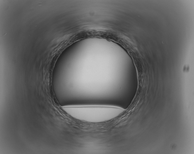 X0000091451061200708161043