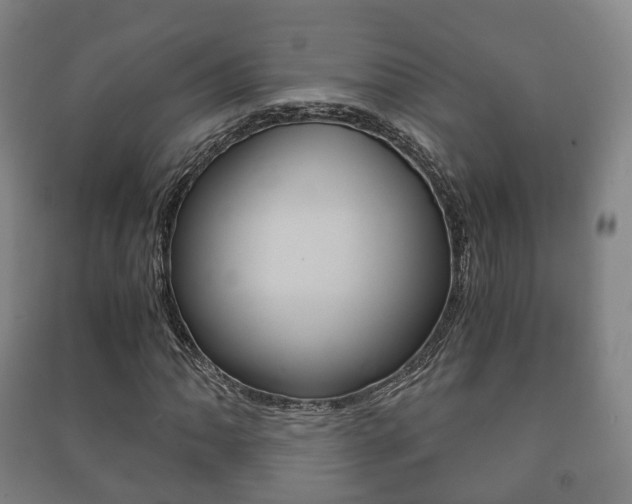 X0000091451062200708161042