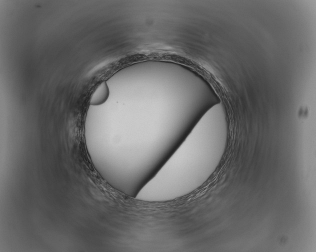 X0000091451063200708161042