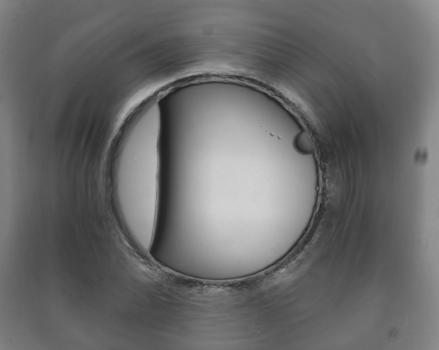 X0000091451070200708161042