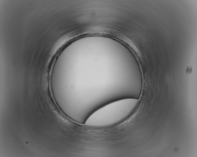 X0000091451075200708161042