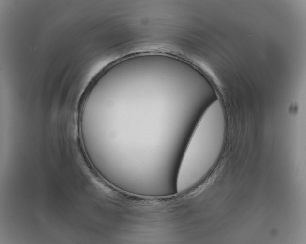 X0000091451079200708161042