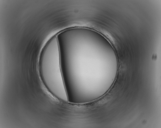 X0000091451080200708161042