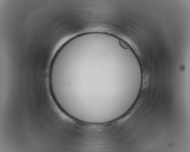 X0000091451086200708161042