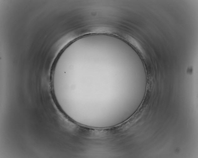 X0000091451087200708161042