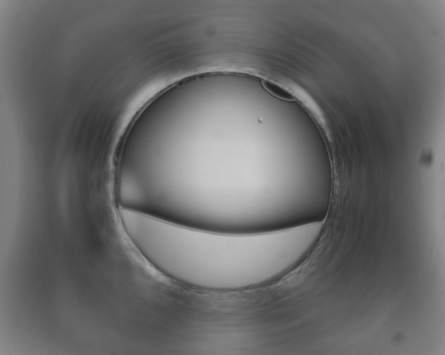 X0000091451096200708161042