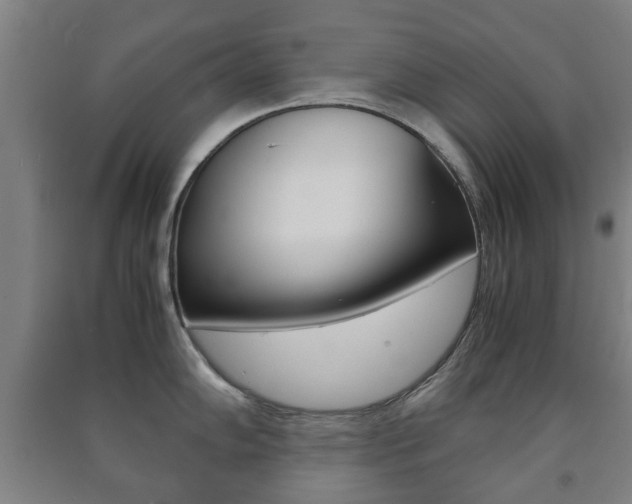 X0000091451102200708161042