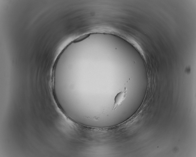 X0000091451103200708161042