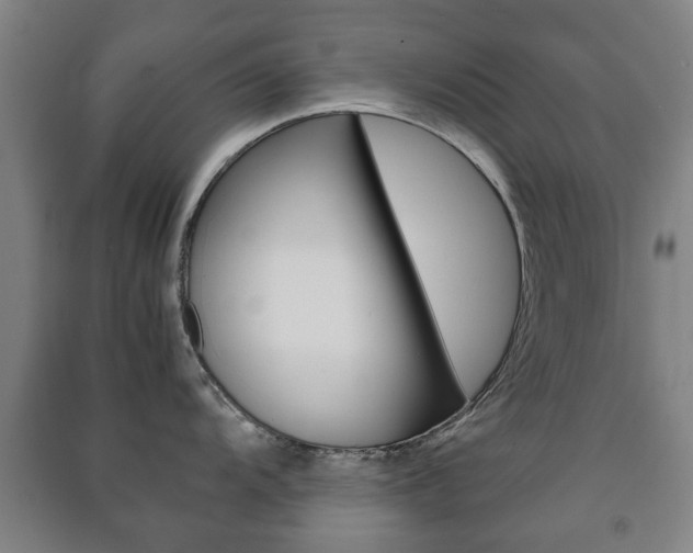 X0000091451104200708161042