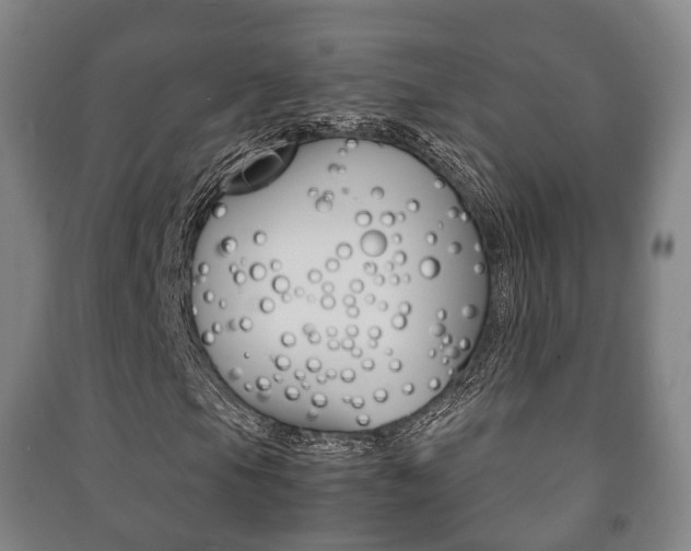 X0000091451105200708161041