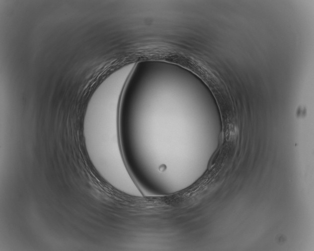 X0000091451108200708161041