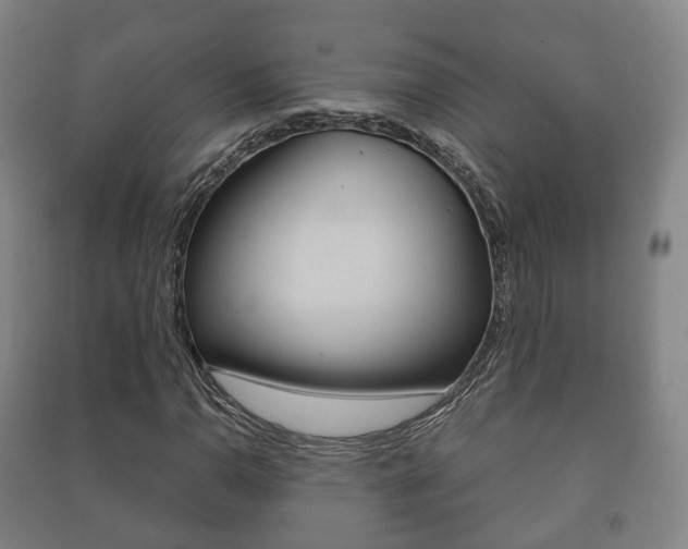 X0000091451110200708161041