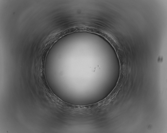 X0000091451111200708161041