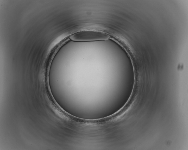 X0000091451114200708161041
