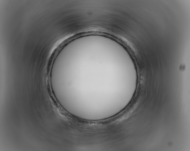 X0000091451117200708161042