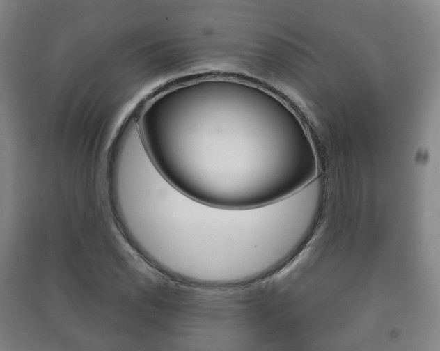 X0000091451118200708161042