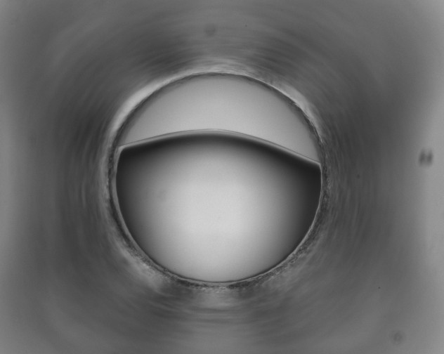 X0000091451120200708161042