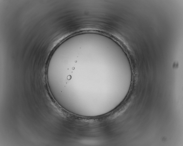 X0000091451121200708161042