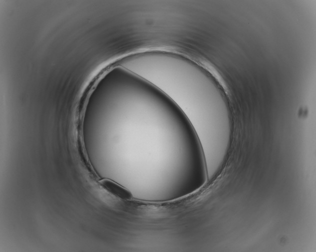 X0000091451124200708161042