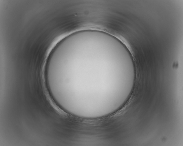 X0000091451128200708161042