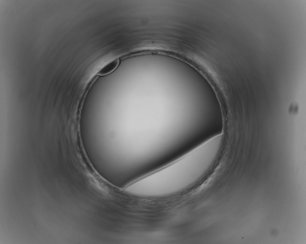 X0000091451129200708161042
