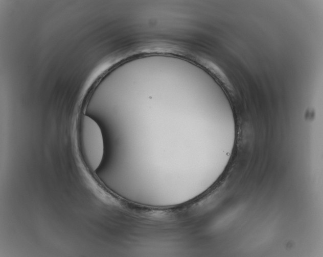 X0000091451130200708161042