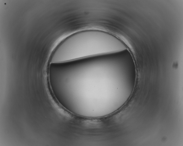 X0000091451133200708161042