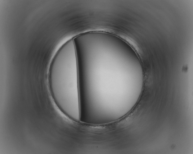X0000091451135200708161042