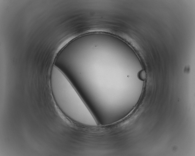 X0000091451137200708161042
