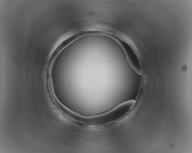 X0000091451138200708161042