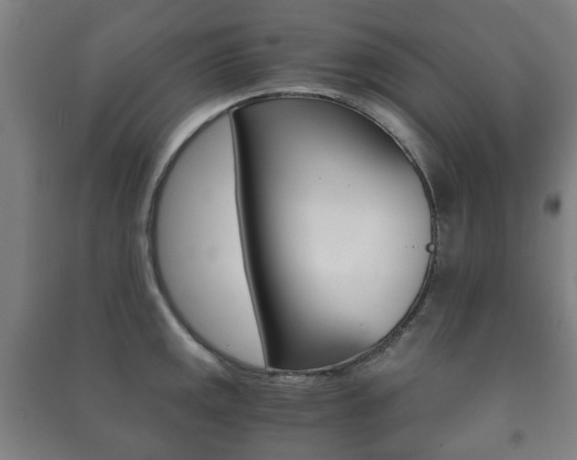 X0000091451141200708161042