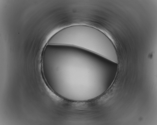 X0000091451143200708161042