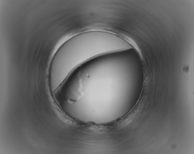 X0000091451146200708161042