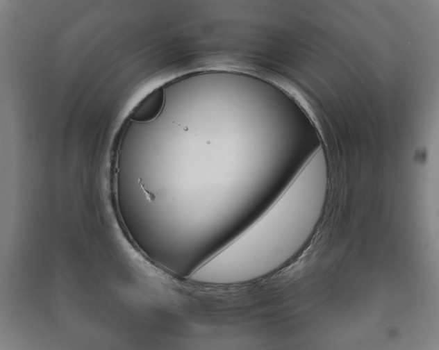 X0000091451147200708161042