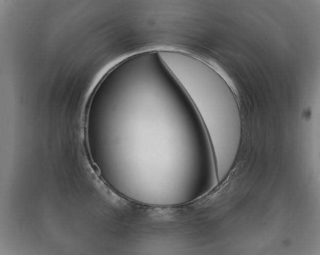 X0000091451148200708161042